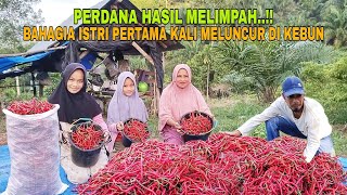 Download lagu BOUNTIFUL FIRST HARVEST..!! MY WIFE IS SO HAPPY TO VISIT THE FARM FOR THE FIRST TIME mp3