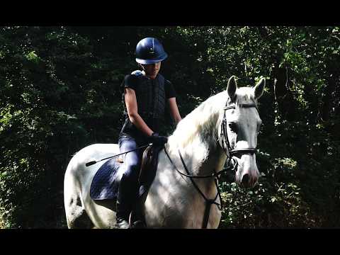 🌟 Super Eventing/WH type 🌟 - Image 2