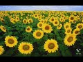 Tamil Tamil Talk Hot Tamil Hot Talk Tamil