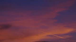 My Sweet Child | Trailer