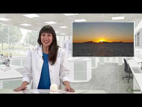 Vídeo: Relatividade