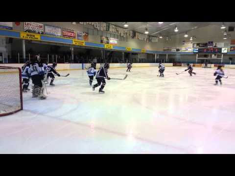 Chaus Richard-71, 2014.01.19  hokkey