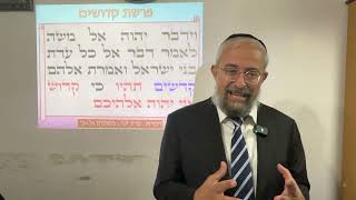 פרשת קדושים – ביאור המושג ״קדושה״ , ומדוע ואיך עם ישראל הוא ״עם קדוש״ – הרב ינון קלזאן (הרב ינון קלזאן) - התמונה מוצגת ישירות מתוך אתר האינטרנט יוטיוב. זכויות היוצרים בתמונה שייכות ליוצרה. קישור קרדיט למקור התוכן נמצא בתוך דף הסרטון