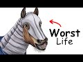 Your Life As A Horse In The Middle Ages