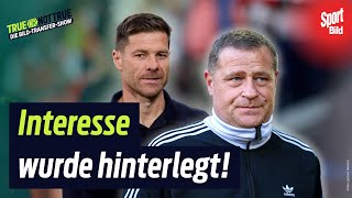 That would be bitter! 🤫 Will Real Madrid snatch this star away from Bayern? | True or not true