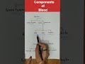 The Components Of Blood And Their Importance Blood Shorts Youtubeshorts