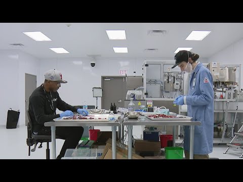 Chicago's first 'social equity' cannabis manufacturer opens as ...