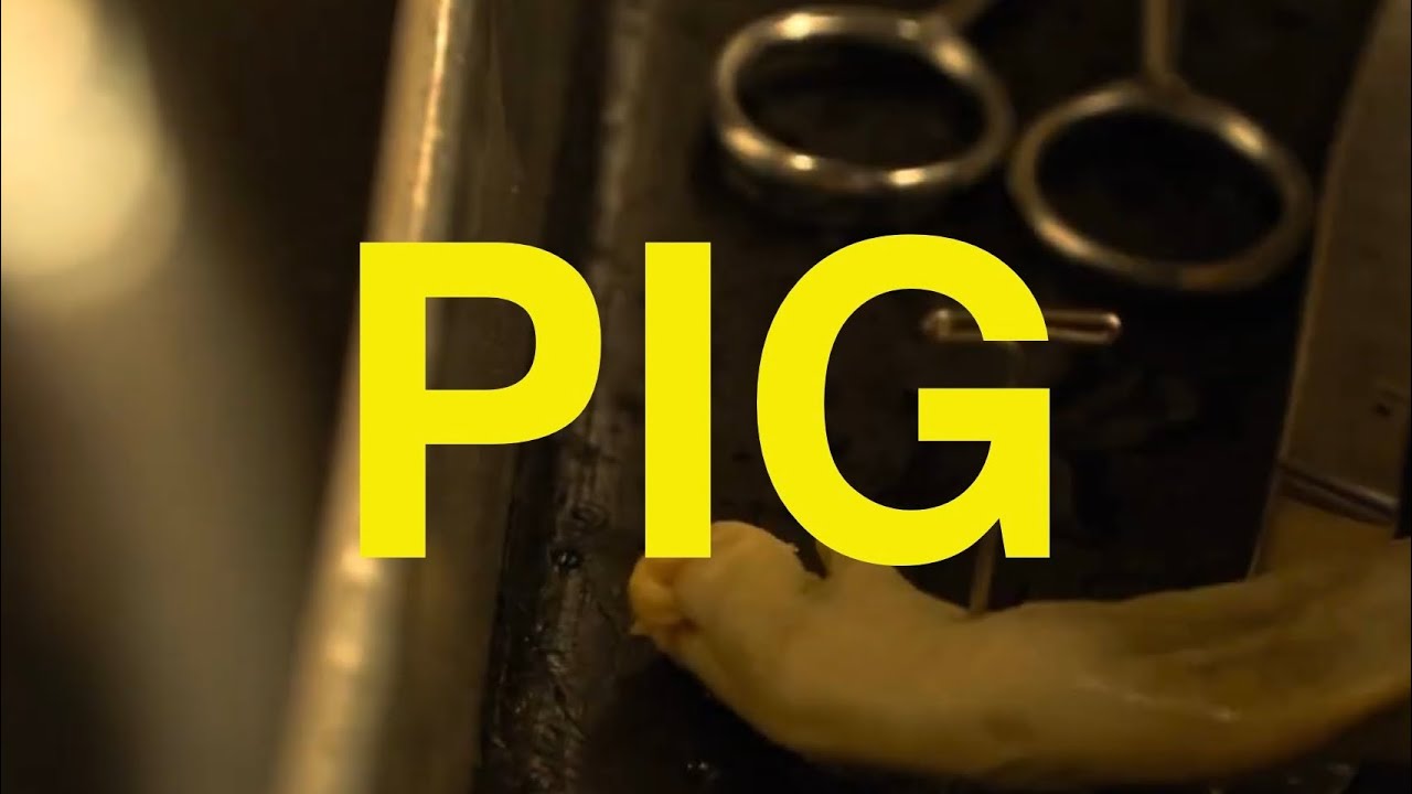Pig
