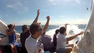 preview picture of video 'Heli-Offshore race in Monaco by Liven up'