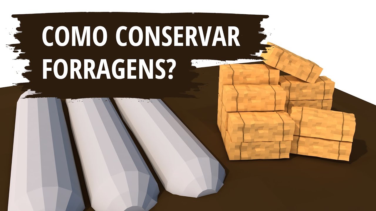 How to conserve forage?