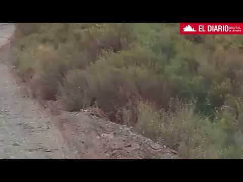 Peligro vial en la ruta 151: 15 kilómetros destrozados en el acceso a 25 de Mayo