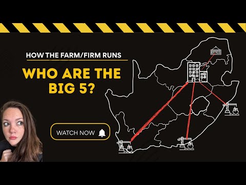 The Death of the Cartel CEO: What They’re Not Telling Us