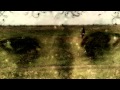 Dmitriy Gorin | Duende - Casida de la Rosa 