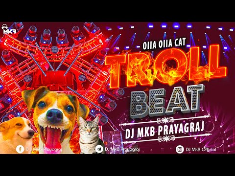 VIRAL MEMES | TROLL DJ BEAT X OIIA OIIA CAT | DJ MkB Prayagraj | Instagram Viral Beat