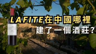 Video 1 trigger image