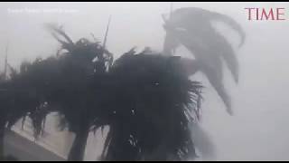 Devastación en Naples, Florida