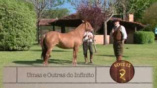 preview picture of video 'Umas e Outras do Infinito [Remate Vaquero 2013]'