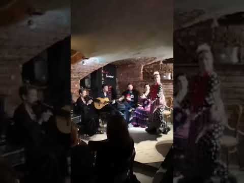 Alegrias - Jana Garanko