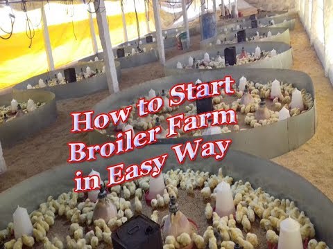 How to Starts  Broiler Poultry form /How to Starts  Chicken Poultry form in India