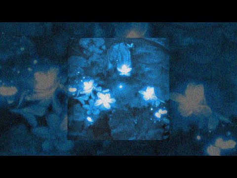 kevlar west - martwa natura (prod. melancholy)