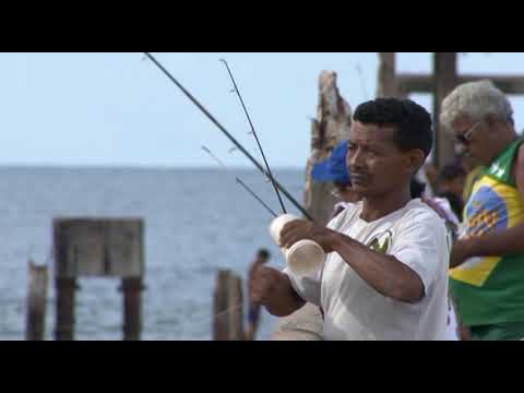 Audiovisual | Curta-metragem