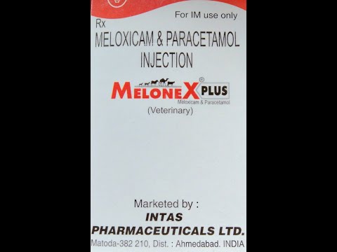 100ml Melonex-Plus Meloxicam& Paracetamol Injection