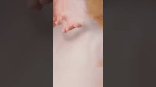 How to avoid Cracks in Eggs During Boiling 🌟😅 #facts #challenge #motivational