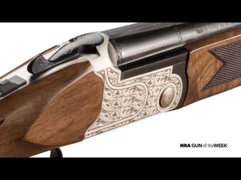 Specs of Tristar Setter