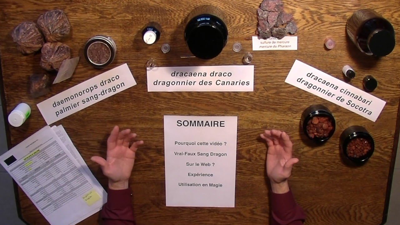 L'encens résine Sang Dragon en Magie - Vrai ou faux 