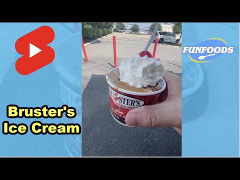 Bruster's Ice Cream #shorts