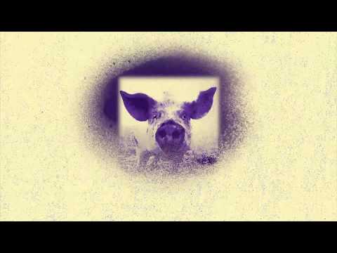 Aló - Pedro Piedra