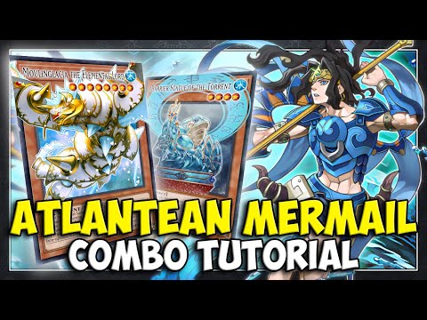 5 MUST KNOW Mermail Combos POST ALLIANCE INSIGHT | May 2025 | Yu-Gi-Oh!