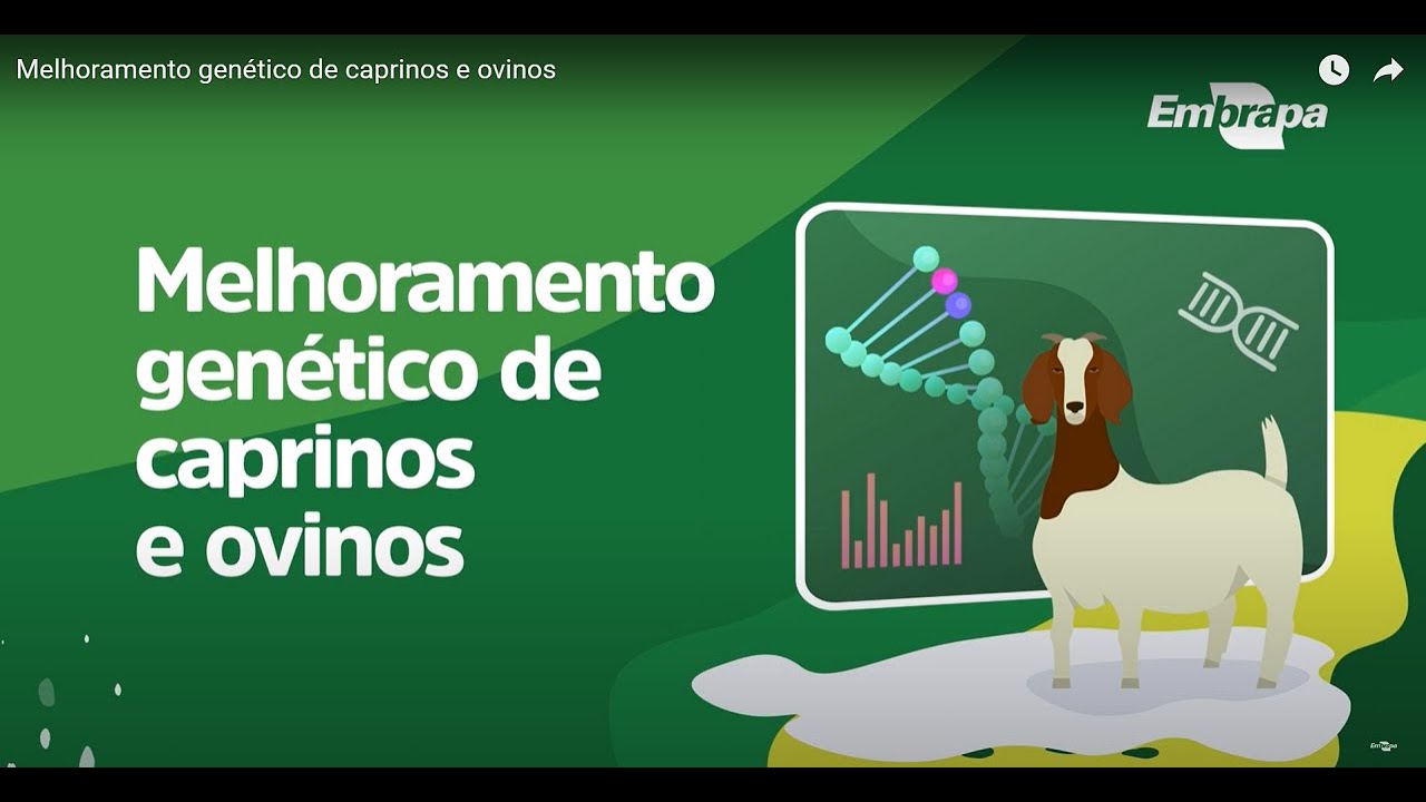 Melhoramento genético de caprinos e ovinos