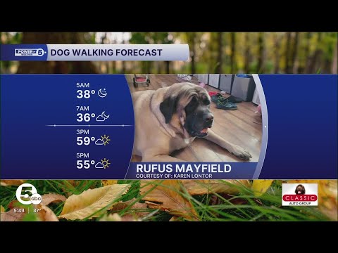 Meet Rufus! - YouTube