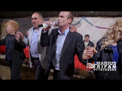 Nela Breazu 2016 LIVE - Colaj hora, argeleana, sarba NOU