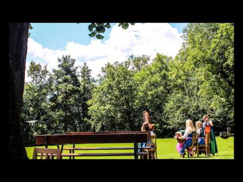 Blusnknepf - Christina Walzer