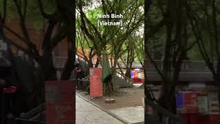 Trang An Tour #27 in Ninh Binh (Vietnam) #shorts #vietnam #travel #ninhb&igrave;nh