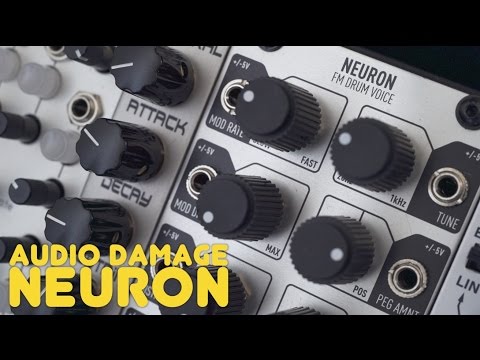 Neuron Audio Damage ADM12 image 4