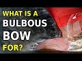 What Is The BULBOUS BOW For