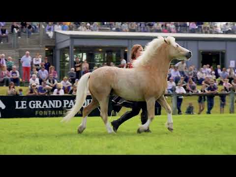 Gilliane Senn Horse Show Fontainebleau 2024