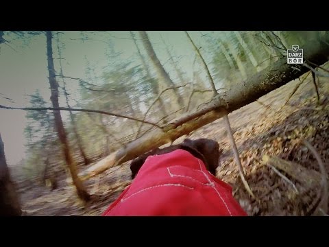 Darz Bór odc. 139 - Psy w dziczej zagrodzie