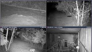 Thumbnail del capítulo