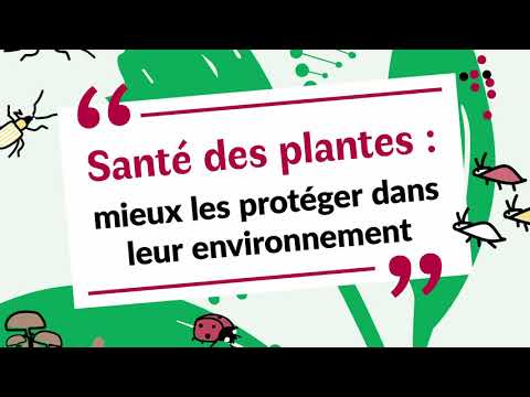 , title : '1. Santé des plantes: mieux les protéger dans leur environnement / La protection des plantes'