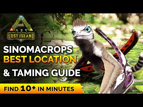 Sinomacrops Spawn Location