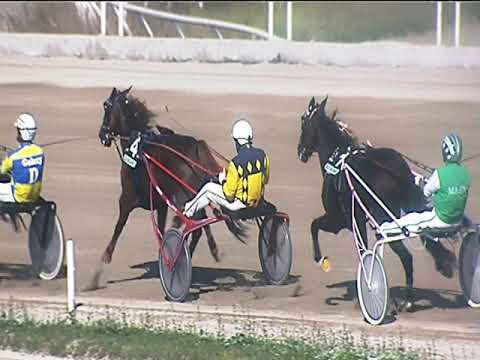 Trotto 16/10/2018 - 1ª corsa