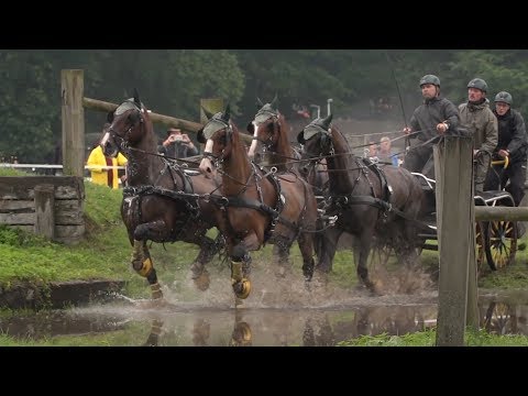 Vierspänner beim Oldenburger Landesturnier