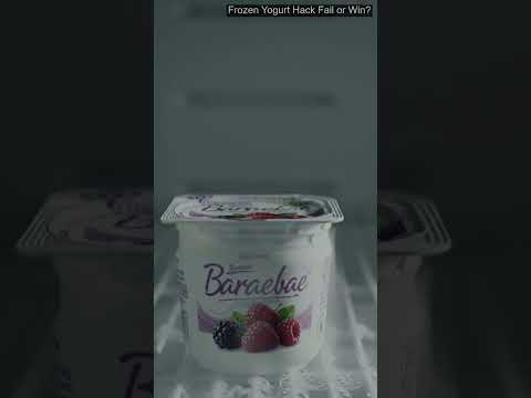 Frozen Yogurt Hack Fail or Win?