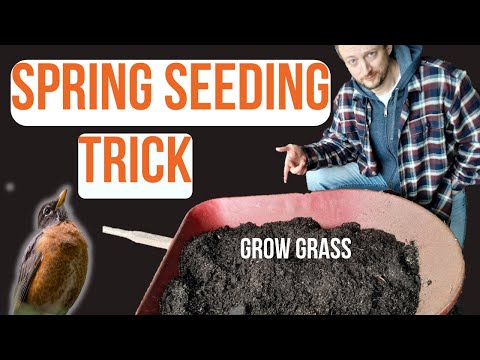 Improve Your Spring Grass Seeding with this Trick//Midwest Lawncare