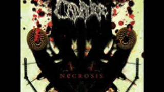 Cadaver - Decomposed Metal Skin