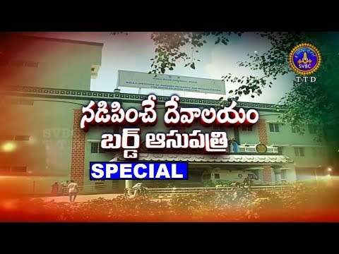 నడిపించే దేవాలయం | Nadipinche Devalayam | Special | 29-01-19 | SVBC TTD